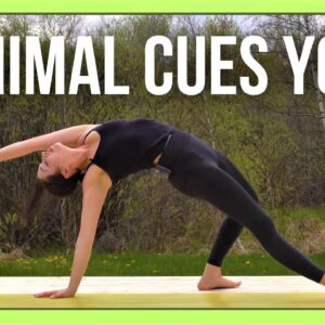 30 min Intermediate Vinyasa Yoga - MINIMAL CUES