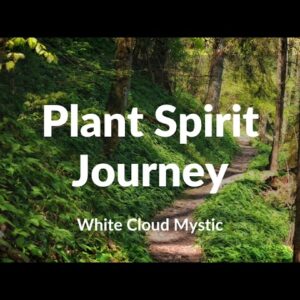 Plant Spirit Journey - guided meditation and shamanic journey