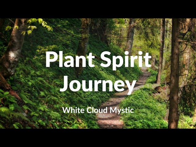 Plant Spirit Journey - guided meditation and shamanic journey