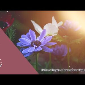 Reiki for Overcoming Regret & Remorse over Past Decisions | Energy Healing