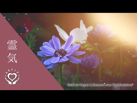 Reiki for Overcoming Regret & Remorse over Past Decisions | Energy Healing