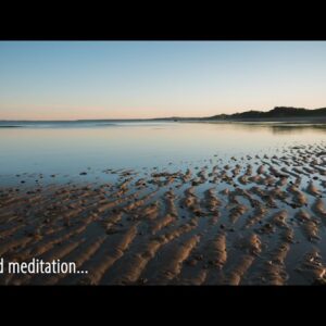 Meditation: Relaxing Back and Saying Yes to the Moment, with Tara Brach