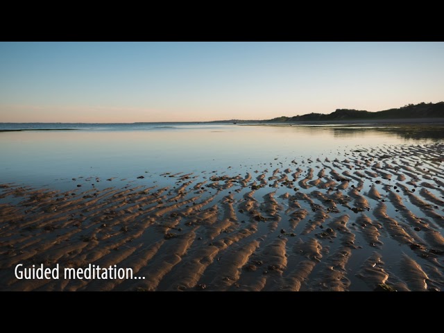 Meditation: Relaxing Back and Saying Yes to the Moment, with Tara Brach