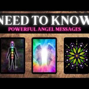 What You Really NEED TO KNOW Right Now 💖💫🙏🏽 *Pick A Card* Love Tarot Reading ANGEL MESSAGES