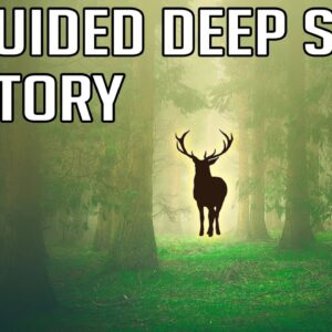 GUIDED SLEEP MEDITATION STORY "The Faerie Ring" Deep relaxation