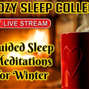 The Cozy Sleep Collection (Winter Livestream)