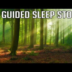 The Secret Well: Guided Deep Sleep Story (Haven Series)