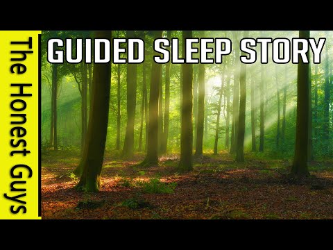 The Secret Well: Guided Deep Sleep Story (Haven Series)