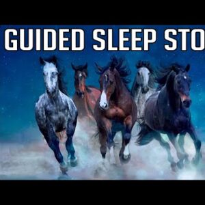 The Land of The Horses: Guided Sleep Story (Dreamweaver Series)