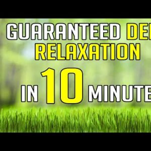 GUIDED DEEP RELAXATION: A Place of Stillness (10 Minute Time-Out or Sleep)