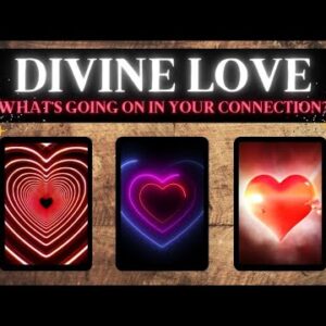 What's REALLY Going On In Your Connection? ❤️💫 *Pick A Card* Love Tarot Reading Twin Flame Soulmate