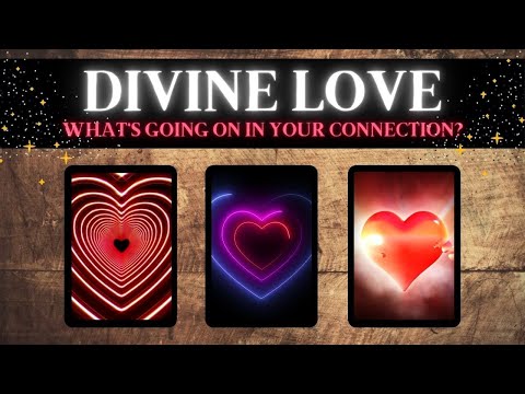 What's REALLY Going On In Your Connection? ❤️💫 *Pick A Card* Love Tarot Reading Twin Flame Soulmate