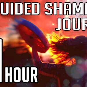 1 Hour GUIDED Shamanic Journey (2022 Updated Version)