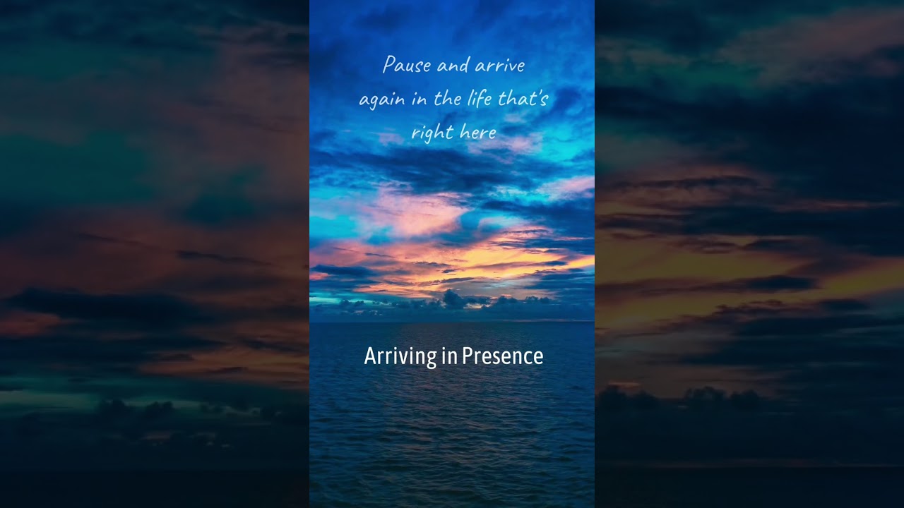 1 Minute Pause for Presence - Tara Brach