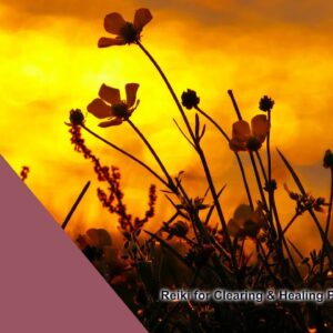 Reiki for Clearing & Healing Past Life Trauma | Energy Healing