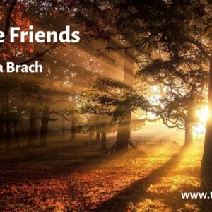 We Are Friends - Tara Brach