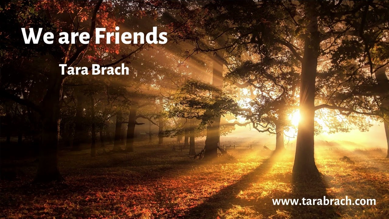 We Are Friends - Tara Brach