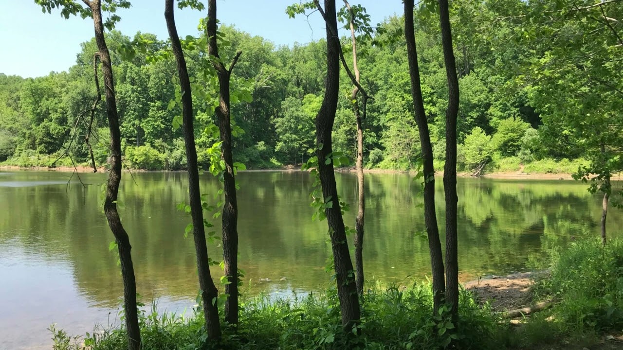 Guided Meditation: Open-Hearted Presence - Tara Brach