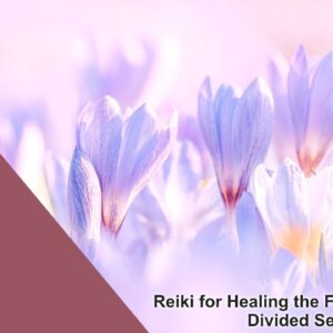 Reiki for Healing the Fragmented & Divided Self | Energy Healing