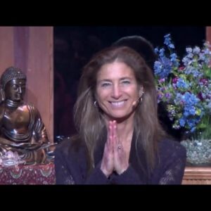 Tara Talks: Seeing the Secret Suffering - Tara Brach