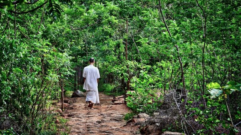 Meditation Instructions: Standing & Walking Meditation - Tara Brach