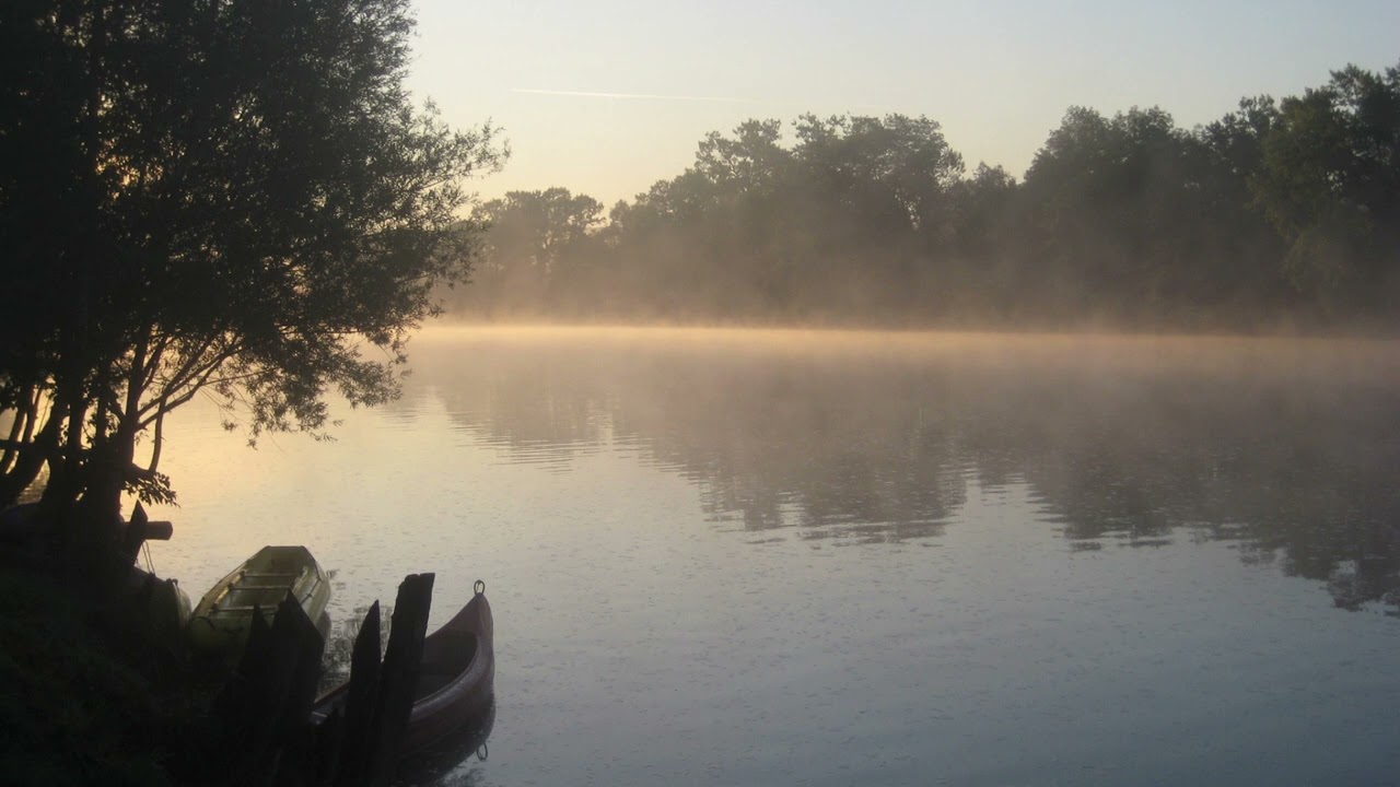 Guided Meditation: Vipassana Seeing Practice Seeing Clearly - Tara Brach