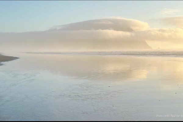 Guided Meditation: Opening to the Sea of Presence - Tara Brach