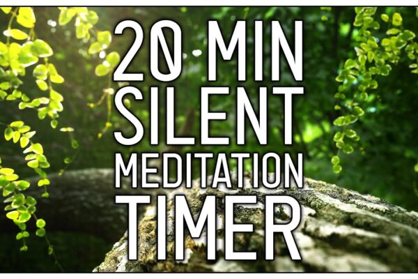 20 Minute Silent Meditation with Bells - 5 Minute Intervals | Timer | Unguided