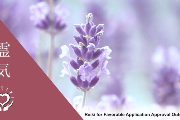 Reiki for Favorable Application Approval Outcomes