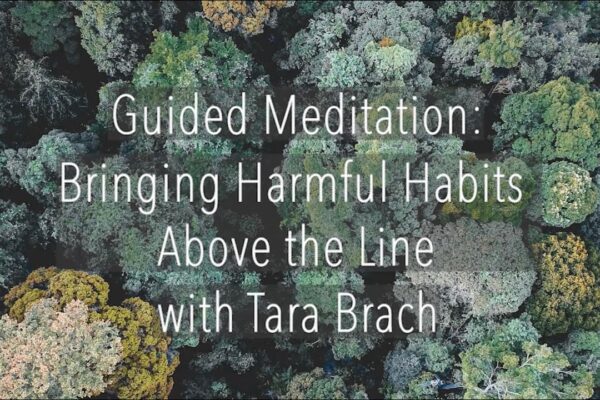 Guided Meditation: Bringing Harmful Habits Above the Line - Tara Brach