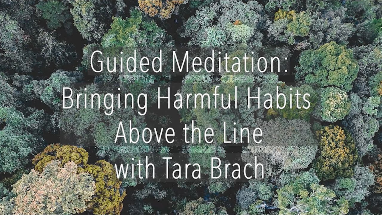 Guided Meditation: Bringing Harmful Habits Above the Line - Tara Brach