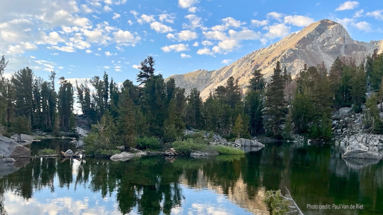 Guided Meditation: Cultivating a Gentle, Kind Attention - Tara Brach