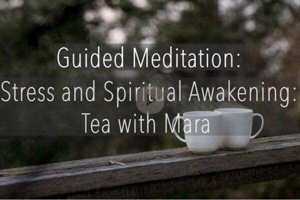 Guided Meditation: Stress and Spiritual Awakening - Tara Brach