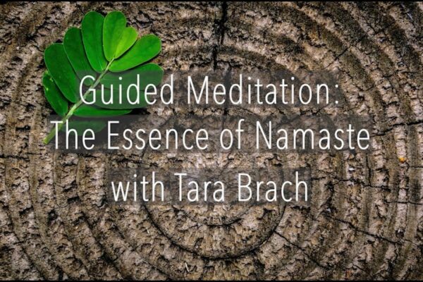 Guided Meditation: The Essence of Namaste - Tara Brach