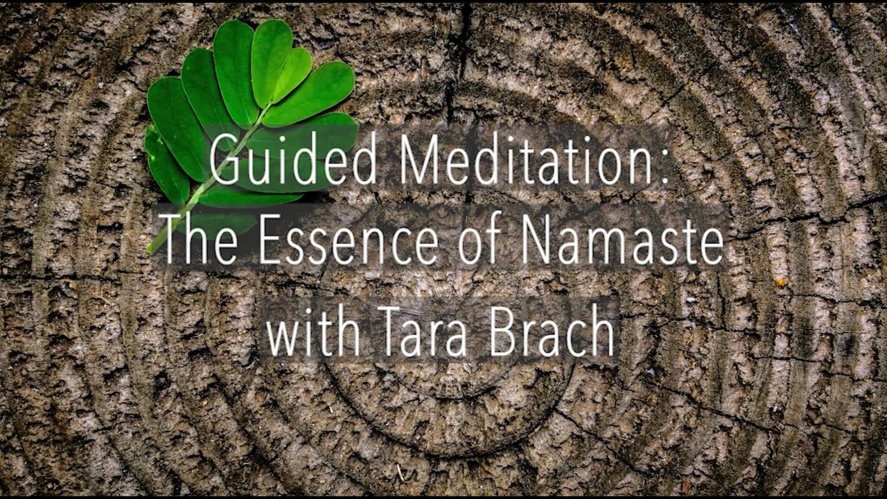 Guided Meditation: The Essence of Namaste - Tara Brach
