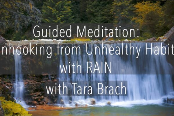 Guided Meditation: Unhooking from Unhealthy Habits with RAIN - Tara Brach