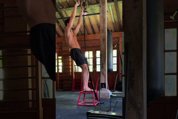 Hanging for Shoulder Health #ShoulderStrength #HangingTechnique #FitnessJourney #ShoulderInjury