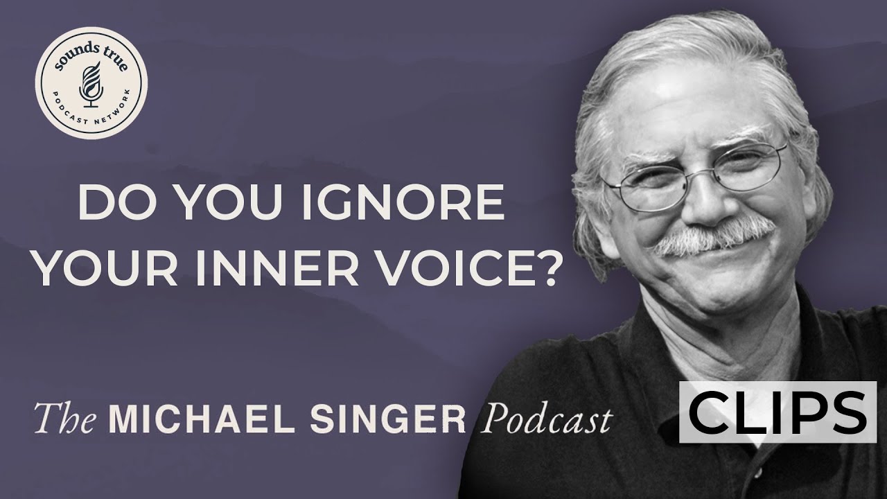 Witness Consciousness: The Key to Freeing Yourself | The Michael Singer Podcast Clips