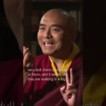 Experience in Meditation with Mingyur Rinpoche