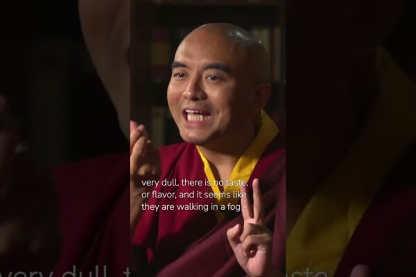 Experience in Meditation with Mingyur Rinpoche