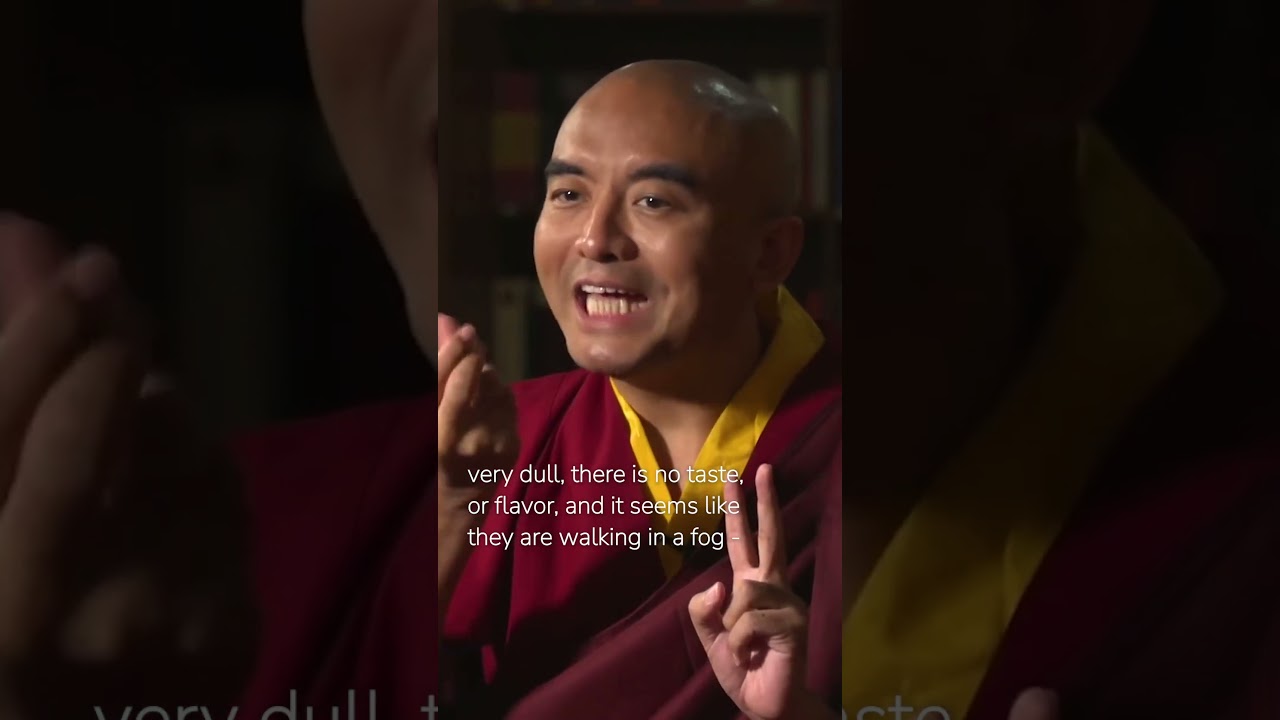 Experience in Meditation with Mingyur Rinpoche