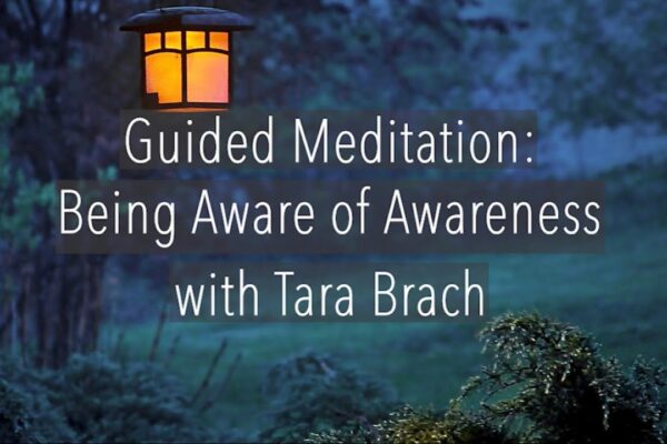 Guided Meditation: Being Aware of Awareness - Tara Brach