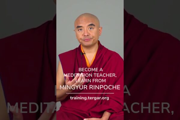 Join Tergar Meditation Teacher Program, Learn from Mingyur Rinpoche