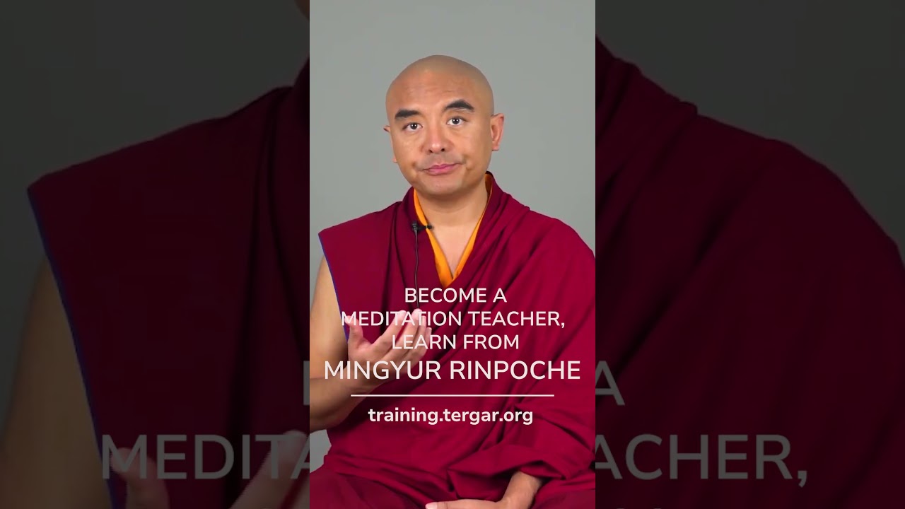 Join Tergar Meditation Teacher Program, Learn from Mingyur Rinpoche