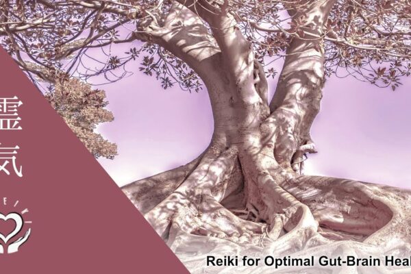 Reiki for Optimal Gut Brain Health | Energy Healing for the Gut-Brain Axis