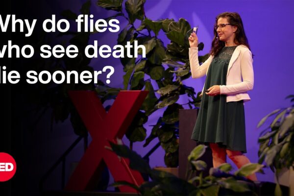 The Science of Lifespan — and the Impact of Your Five Senses | Christi Gendron | TED