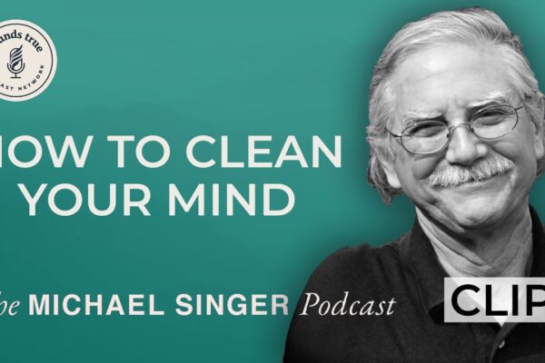 Relax and Release: How to Purify Your Inner Self | The Michael Singer Podcast Clips