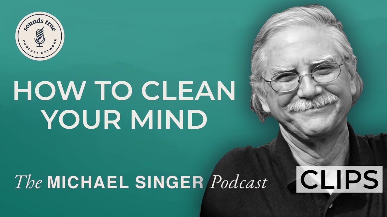 Relax and Release: How to Purify Your Inner Self | The Michael Singer Podcast Clips