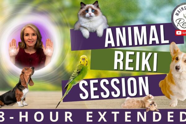 8-Hour Animal Reiki Session | Calm and Healing for Your Pets 🐾