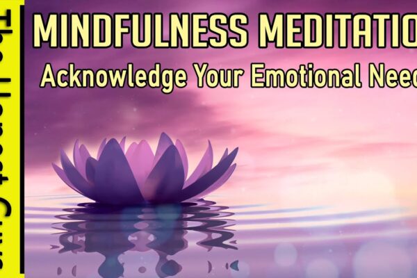 Acknowledging Your Emotional Needs (Mindfulness Meditation)